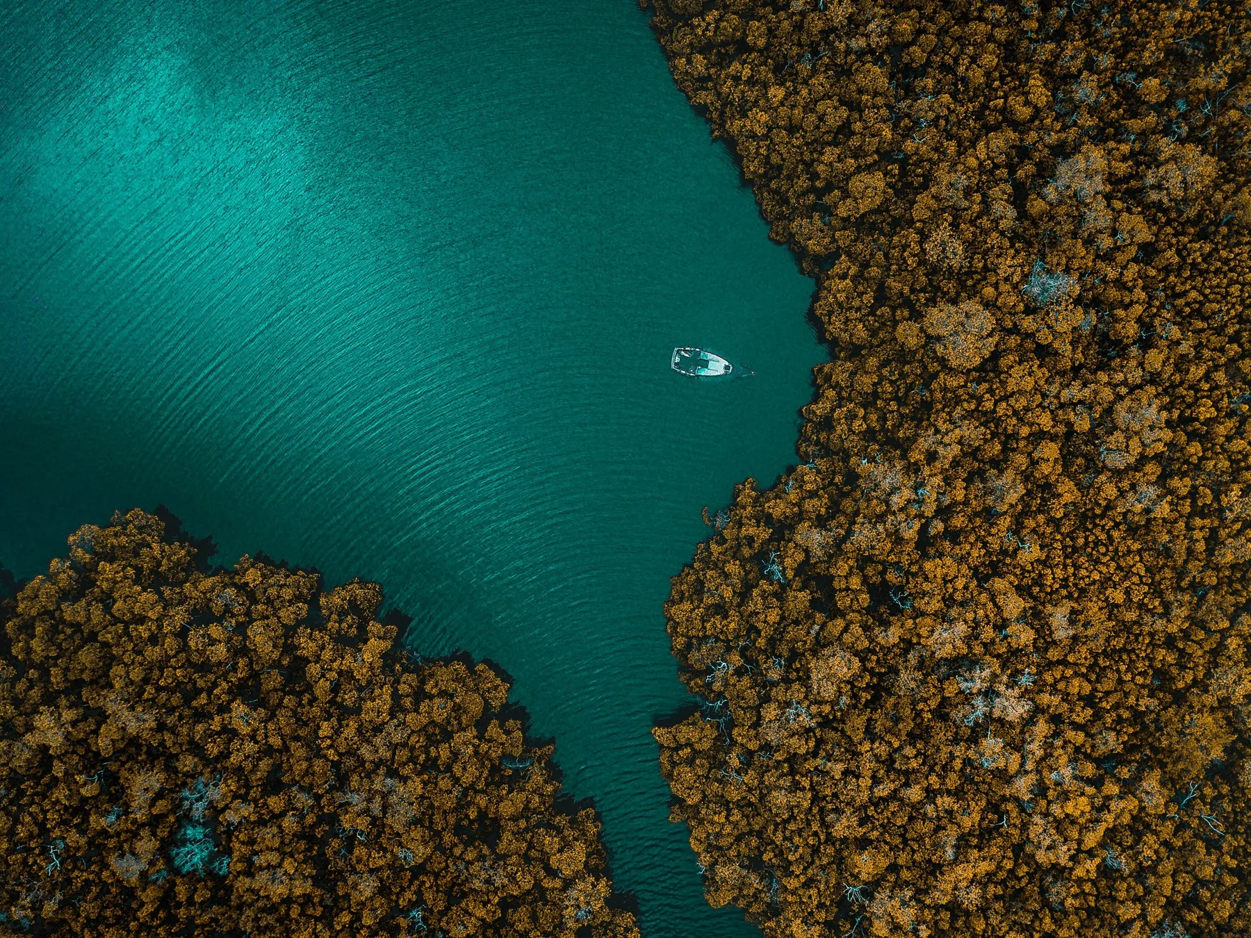 Alex perez c X9c Wyzs Mb Y unsplash