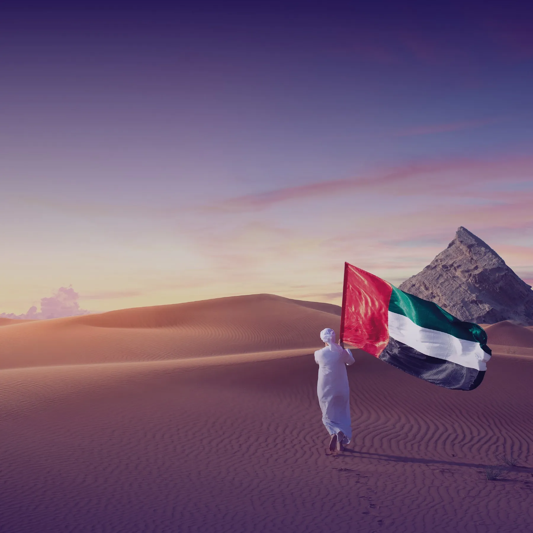 UAE Graduates Programme Launch Event